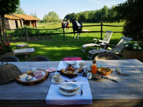 Casa Leone with jacuzzi near Bruges